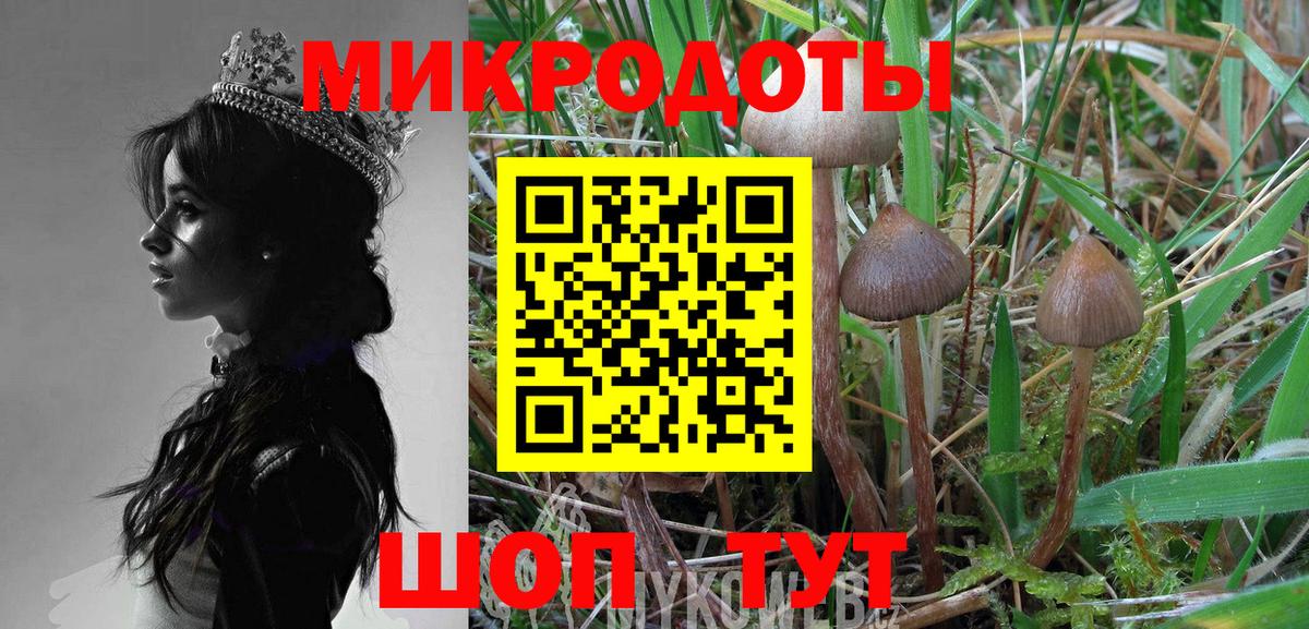 Галлюциногенные грибы Psilocybine cubensis Губаха
