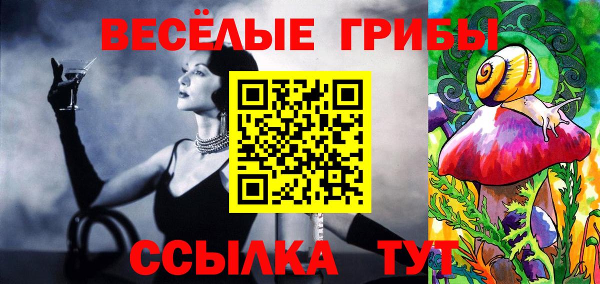 Псилоцибиновые грибы Cubensis  Вход с VPN  Псилоцибиновые грибы GOLDEN TEACHER  Губаха 